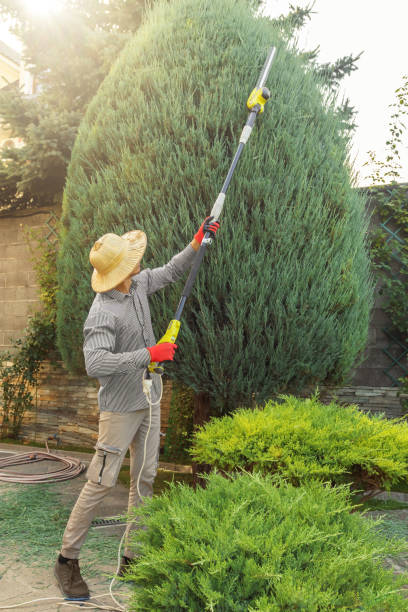 Best Weed Control  in Kirkland, IL